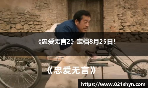 壹号